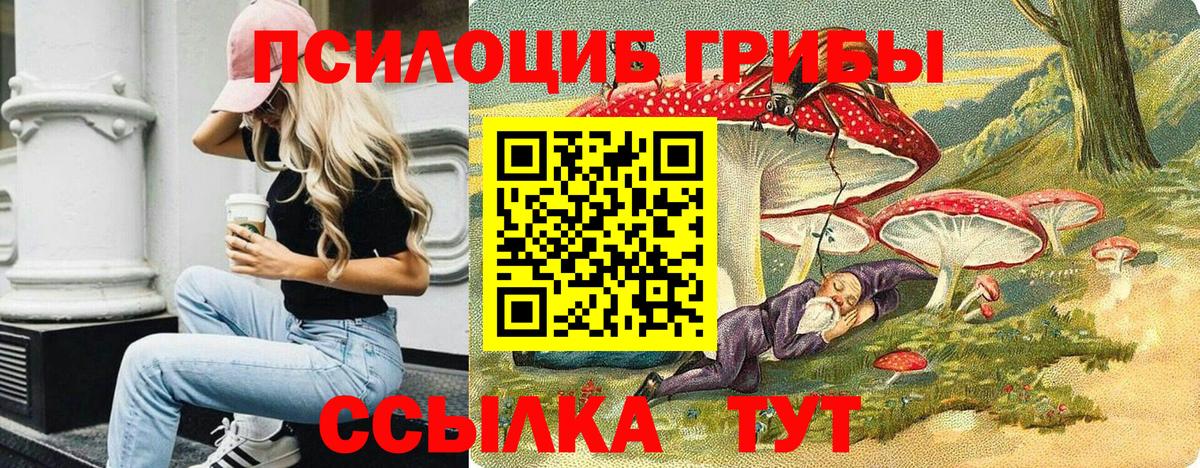 Псилоцибиновые грибы Magic Shrooms  купить наркоту  Лянтор  Вход с VPN 